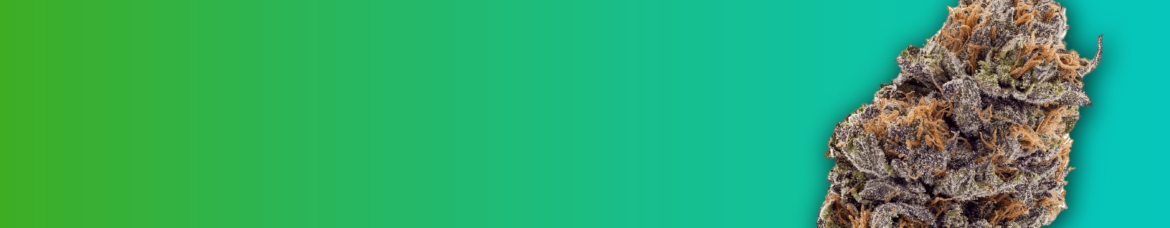 Shop Cannabis Products in Europe